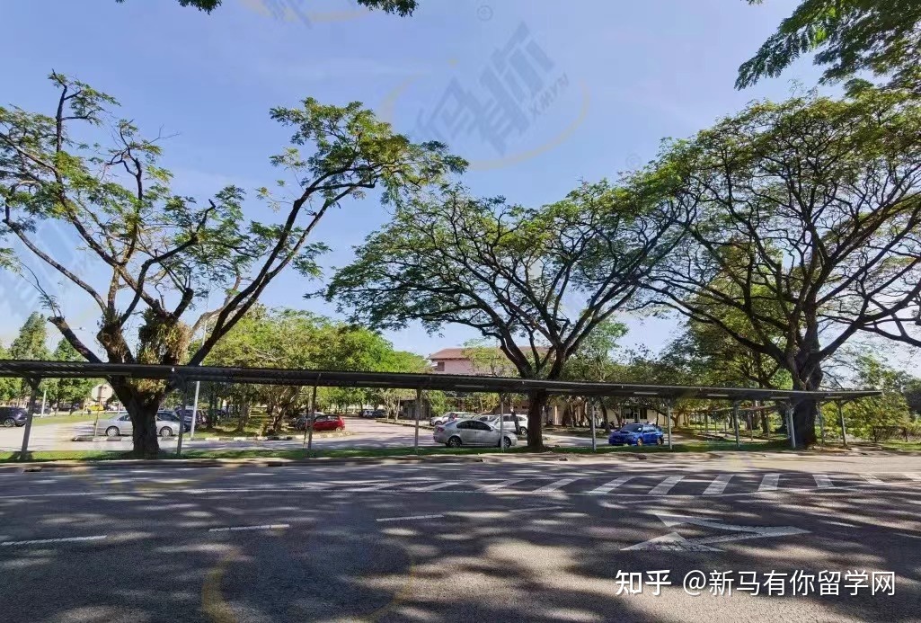 博特拉大学(图8)